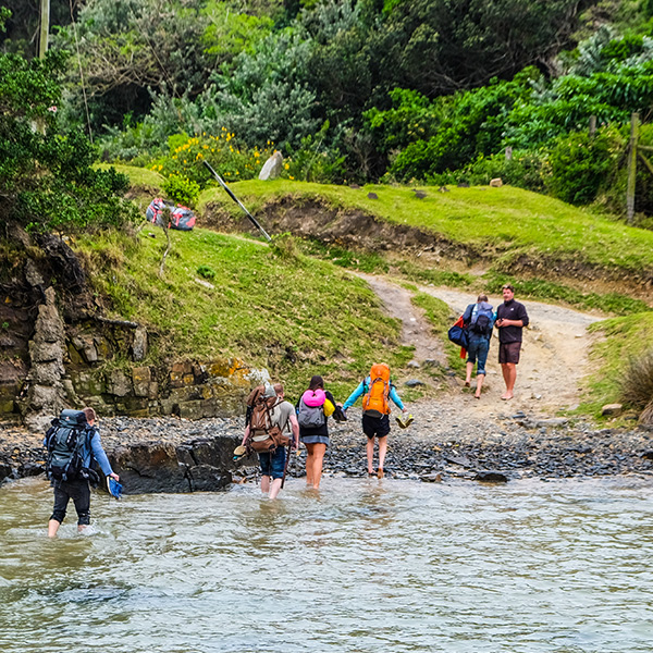 Day Trips - Design your own!