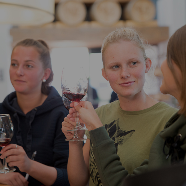 Day Trips - Winemaker’s Experience