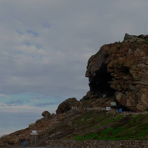 Day Trips - Mossel Bay in a day