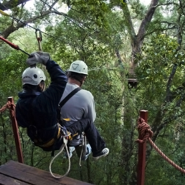 Day Trips - Tsitsikamma Adventure